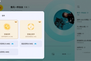 【安卓】酷我音乐 极简版/共存版-v1.0.0.29-去广告豪华VIP破...