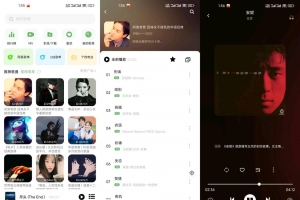 【音悦】2.5.1 无广告音乐下载app 超齐全